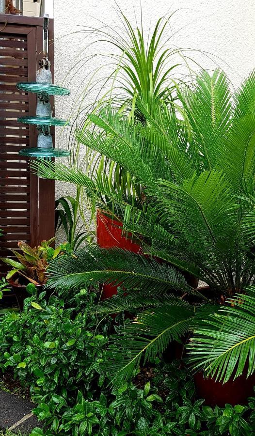Central Oasis Apartment Tauranga Ngoại thất bức ảnh